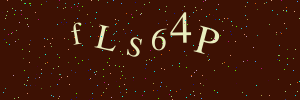Validation image